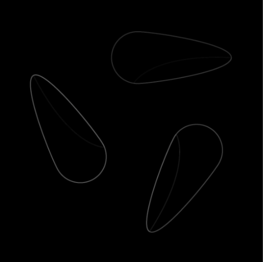 image-20250903-055550.png