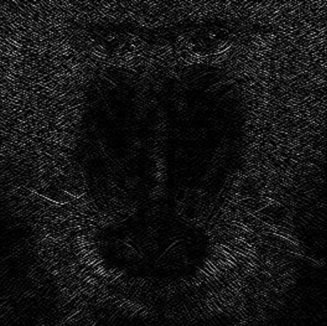 image-20250901-092237.png