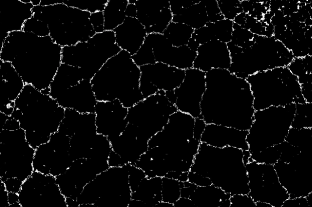 image-20251017-115451.png