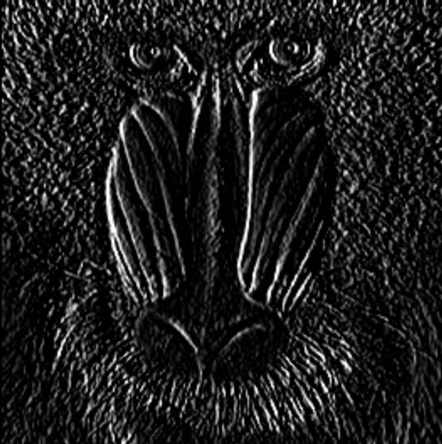 image-20250901-092150.png