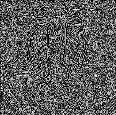 image-20250901-101336.png
