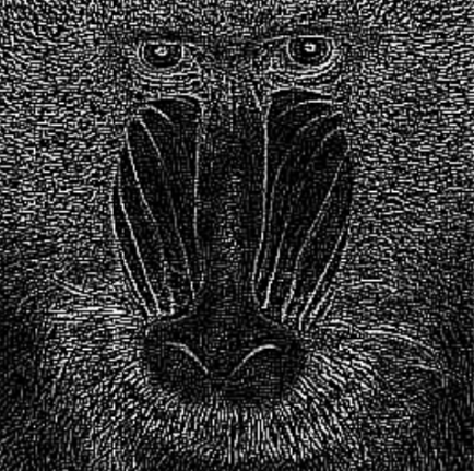 image-20250901-102340.png