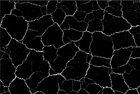image-20251017-112518.png