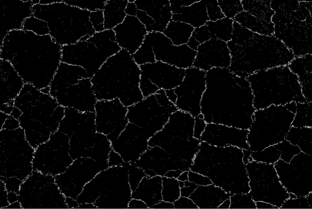 image-20251017-115113.png