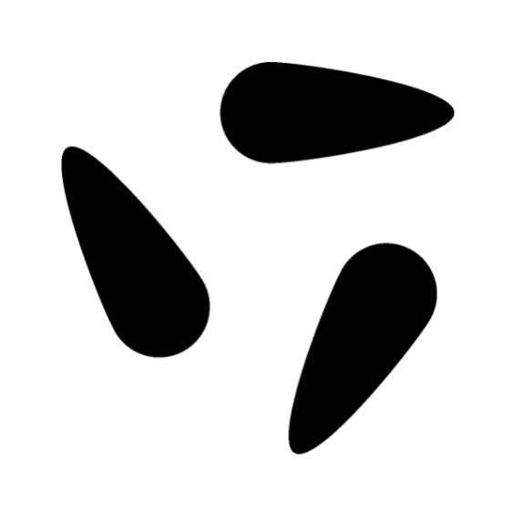 image-20251020-075341.png