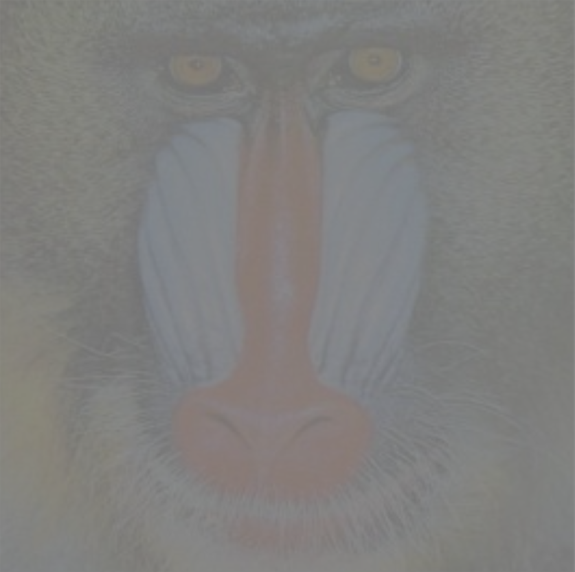 image-20250903-083437.png