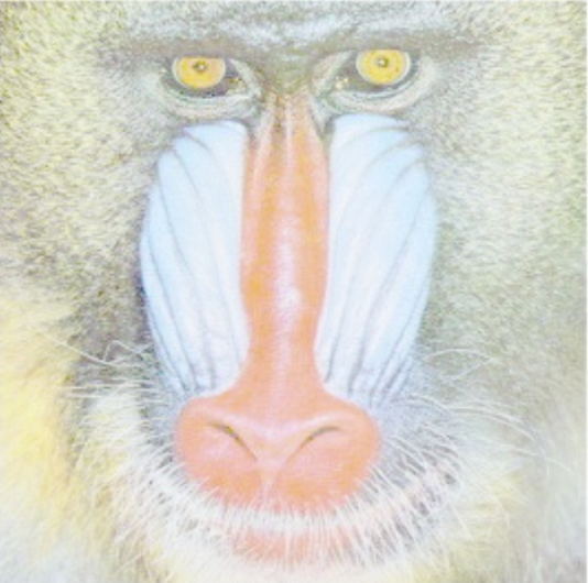 image-20250903-084802.png