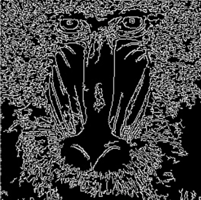 image-20250901-101410.png