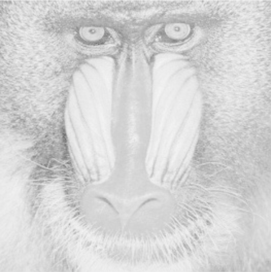 image-20250903-085031.png
